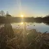 nathan.shaw_ - @nathanshaw_ - TikTok