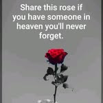 Nate Shepherd - @shepherd2228 - Instagram