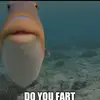 Nate Shepherd - @njs.13 - TikTok