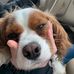 Nate Spencer - Facebook