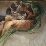 Nate Spencer - Facebook