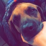 Nate Spriggs - @5thstreettrash - Instagram