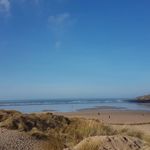 Nathan Spriggs - @giraffe__33 - Instagram