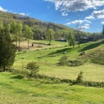 Nate Thornton - @grass2forkfarm - Instagram