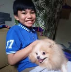 Nate Travis Violon - Facebook
