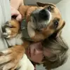 natetravis - @natetravis8 - TikTok