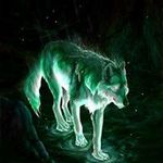 Nate Tucker - @natethebad11 - Instagram
