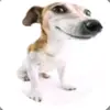 natetucker169 - @natetucker169 - TikTok