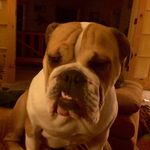 Nate Tyler - @ntyler1970 - Instagram