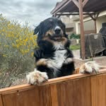 Nate Tyler - @thenatester64 - Instagram