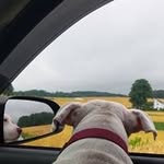 Nate Wall - @nate.wall.129 - Instagram