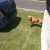Nate Wallace - @nate.wallace1 - TikTok