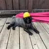 NateWallace - @nate.wallace - TikTok