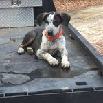 Nate Walters - @natewalters11 - Instagram