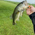Nate Webb - @natewebb5 - Instagram