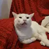 Nate Weimar - @nate.weimar - TikTok