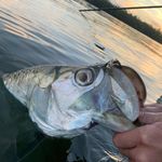 Nate Welch - @doublehauln - Instagram
