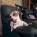 Nate Willis - Facebook