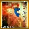 Nate Willis - @nate.willis7 - TikTok