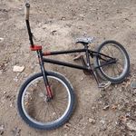 Nate Willson - @literallynate_willson - Instagram