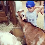 Nate wise - @natewise79 - Instagram