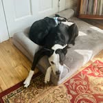 Nate Witt - @the.natemare.continues - Instagram
