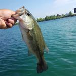 nate witt - @n8_witt - Instagram