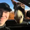 Nate Wold - @natewold8 - TikTok