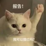 Nate - @nate_yang_1 - Instagram