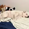nate - @nateyan.g - TikTok
