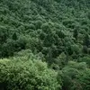 yangyc - @nate_yang - TikTok