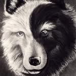 Nate Younger - @nate.younger - Instagram