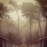 Nathalie David - @nathalie__david - Instagram