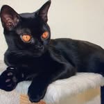 Nathalie David - @nathalie.david.5473 - Instagram