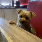 Nathalie David - Facebook