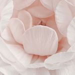 Nathalie David - @nathalie.david.58118 - Instagram