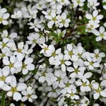 Nathalie David - @nathalie.david.9022 - Instagram