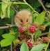 Nathalie Mathis - Facebook