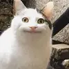 Hello - @nathalyblanco75 - TikTok