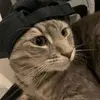 Nathan Abelle - @nathan.abelle - TikTok