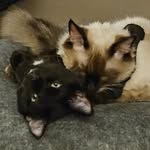 Nathan Ackley - @ackley529 - Instagram