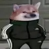 nathanacosta71 - @nathan.acosta88 - TikTok