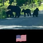 Nathan Akers - @nathan.akers.14811 - Instagram