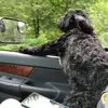 Nathan Allard - @nathan.allard8 - TikTok