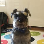 Nathan Appleton - @n_appleton_ - Instagram