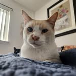 Nathan Daniel Arndt - @arndt6430 - Instagram