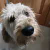 nathan.arndt - @nathan.arndt21 - TikTok