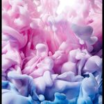 Nathan Arsenault - @nathanarsenault585 - Instagram