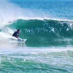 Nathan Asaro - @nadertoothtiger - Instagram