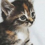 Nathan Atkins - @nathan_atkins627 - Instagram